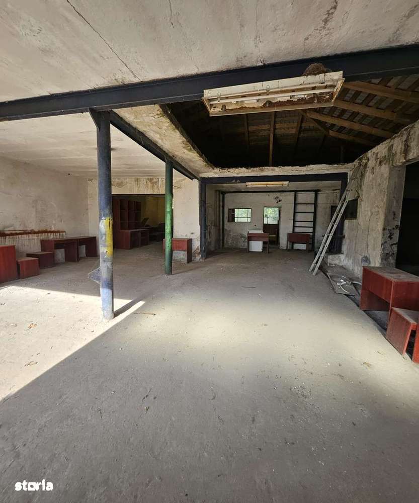 Atelier / Spațiu Comercial / Spațiu de Depozitare de închiriat – Oncea - Imagine principală: 4/11
