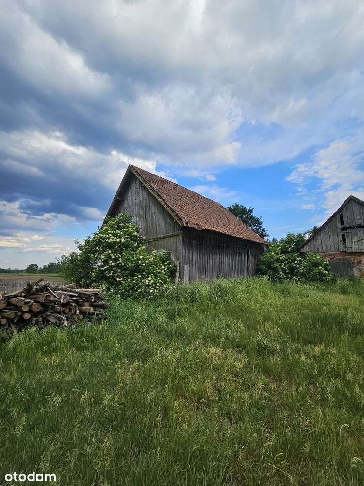 Dom na dużej działce, wraz z zabudowaniami-12