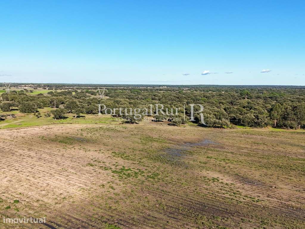 Herdade de 60 hectares para criação bovina e equina perto de Lisboa-5