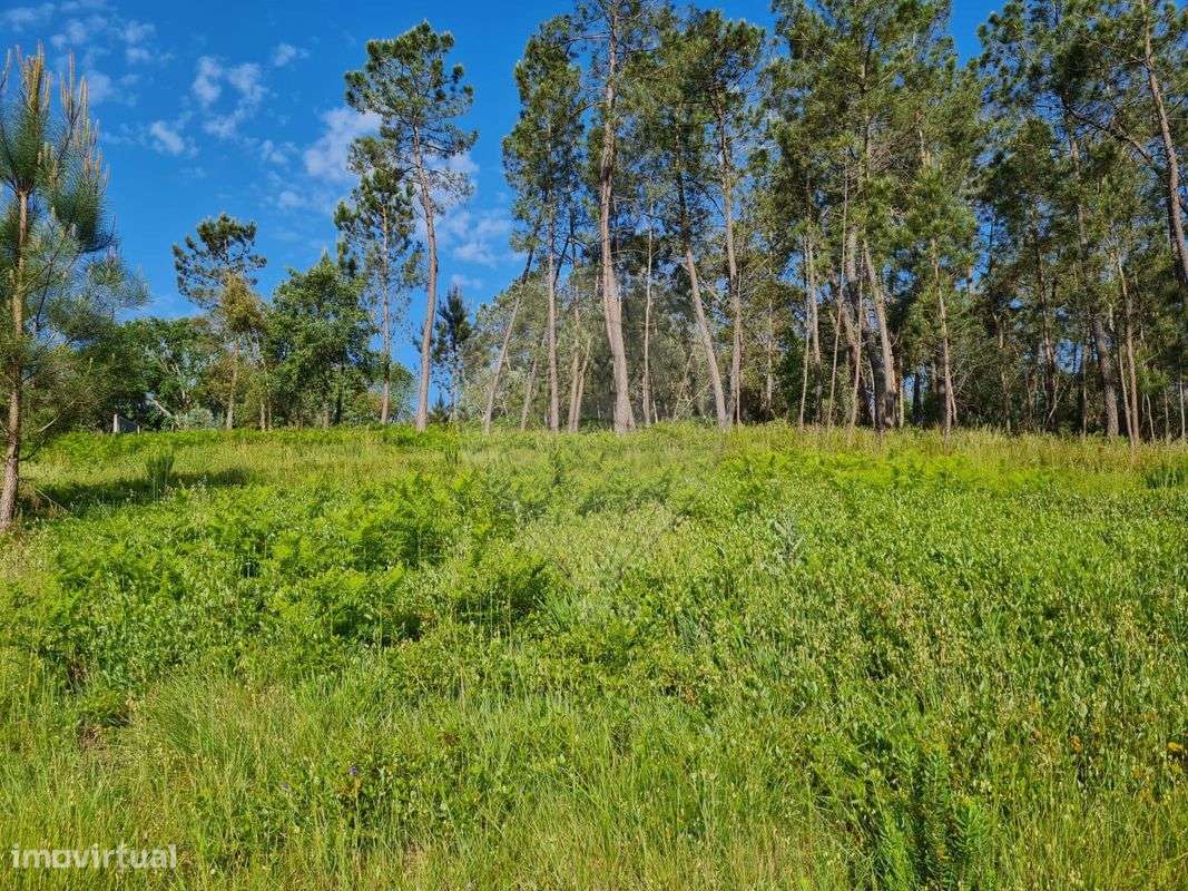 Moradia T2 para venda - Grande imagem: 5/8