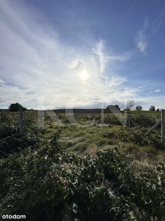 Działka "na odludziu" w miejscowości Dłużec-9