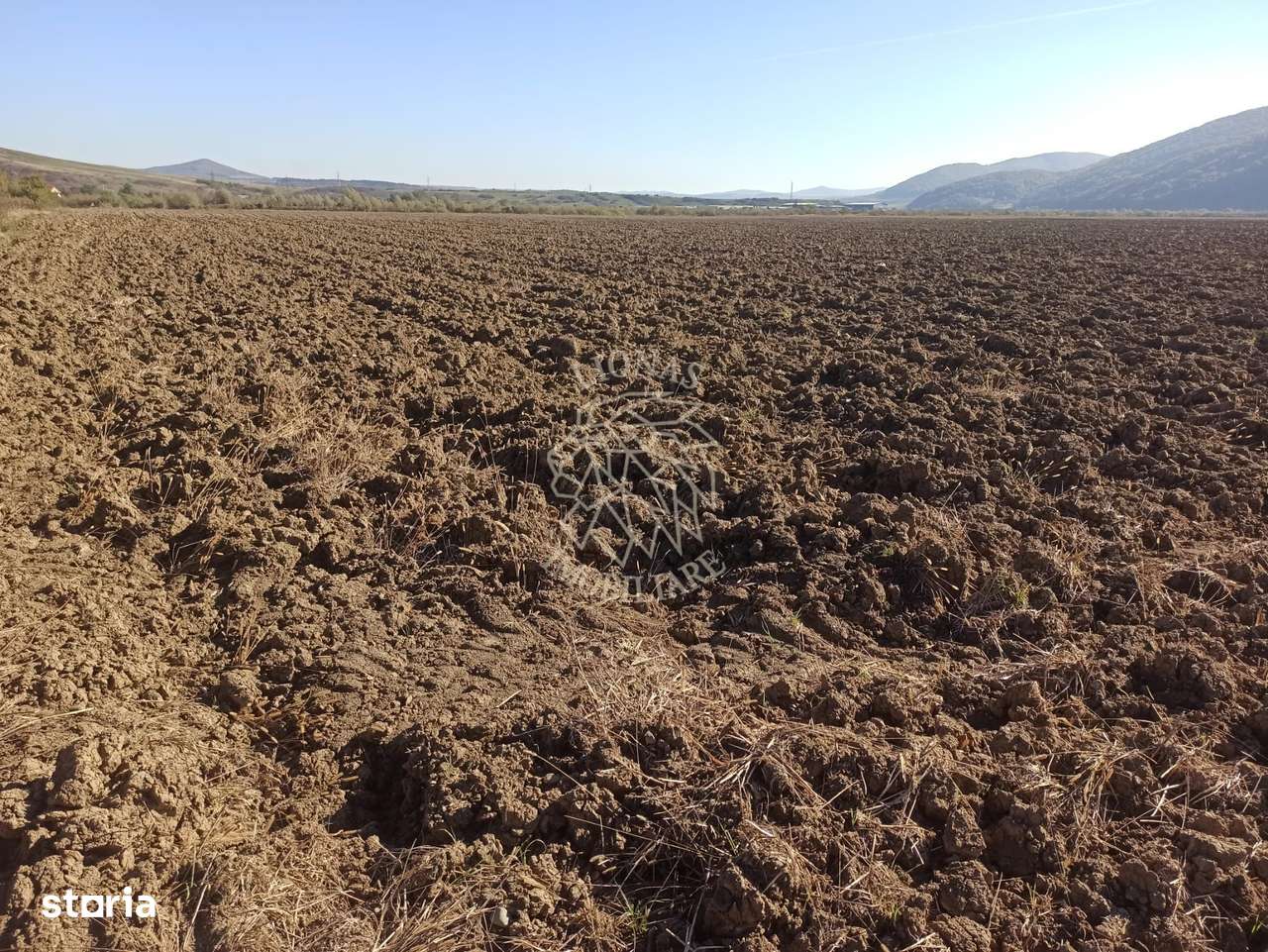 Teren 7500 mp-ideal agricultura, invetitie-Sarata - Imagine principală: 1/3