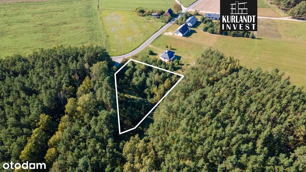 Działka budowlana 3.075 m² MPZP ściana lasu - Pełny obrazek: 5/6