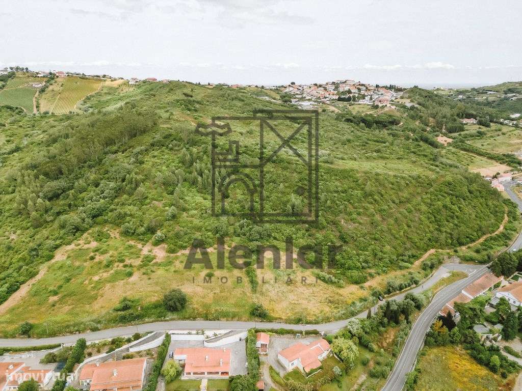 Terreno com 48ha em Alenquer - Grande imagem: 2/11