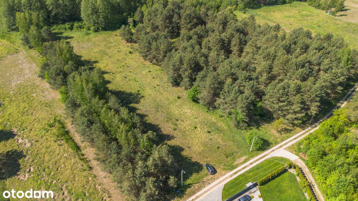 Działka  Lewickie 4700 m - Pełny obrazek: 5/7