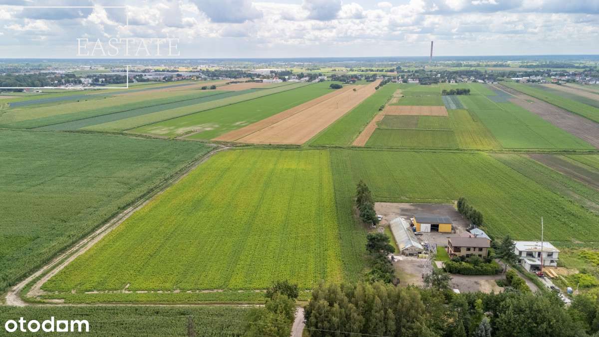 Działka pod osiedle segmentów/bliżniaków - Pełny obrazek: 3/12