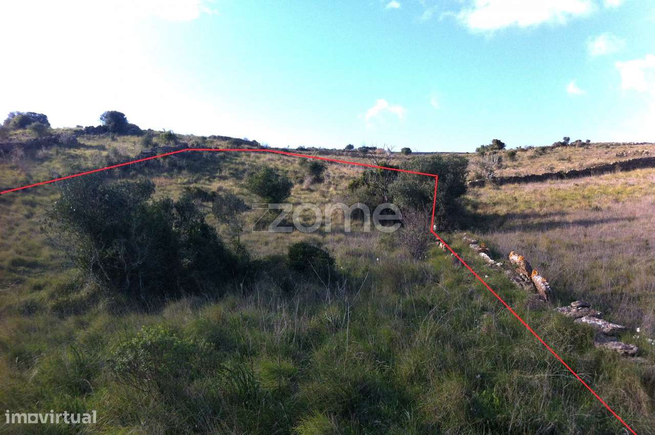 Terreno Rústico -Natureza, História e Tranquilidade na Terrugem Sin...-19