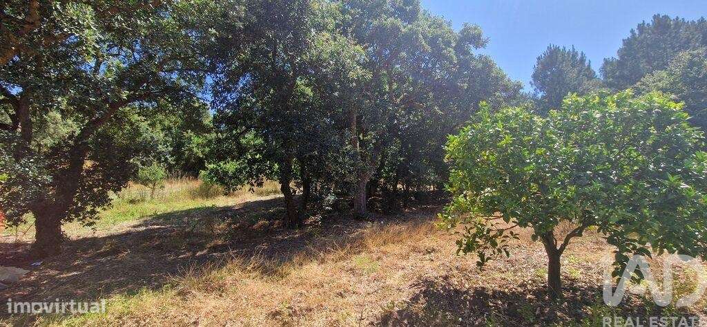 Terreno em Azueira e Sobral da Abelheira de 8187,00 m2 - Grande imagem: 5/28