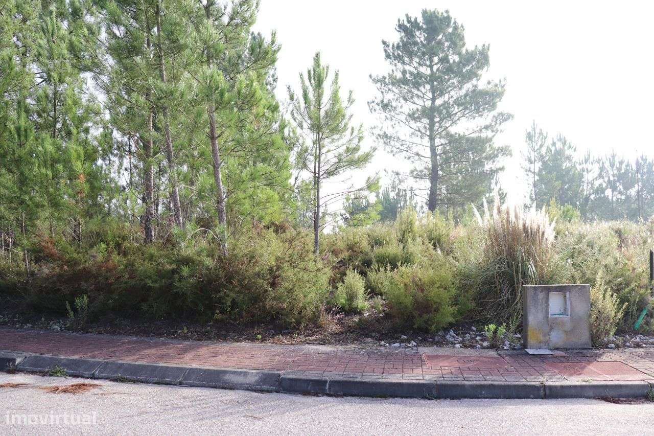 Lote - Grande imagem: 5/5