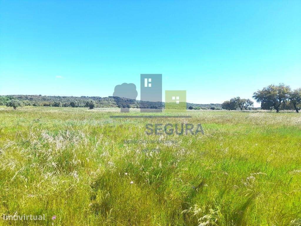 Terreno rústico | V.N.Baronia - Grande imagem: 5/7