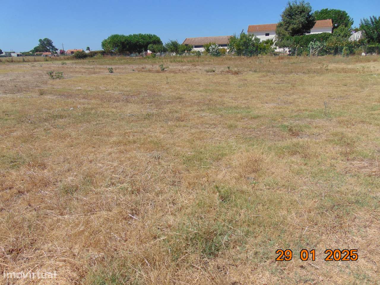 Terreno Rústico 5.000 m² - terrim -Pinhal Novo - Grande imagem: 5/5