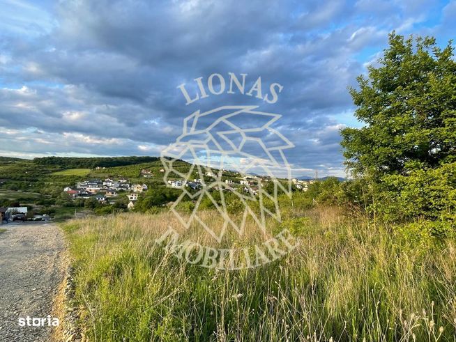 Oportunitate de investitie! Teren + Proiect autorizat, zona La Soare-0