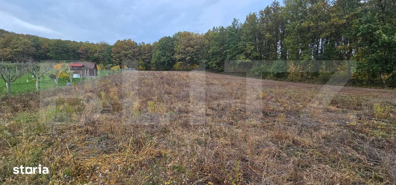 Teren intravilan parcelat - 2882 mp - Sat Bejan - Imagine principală: 4/4