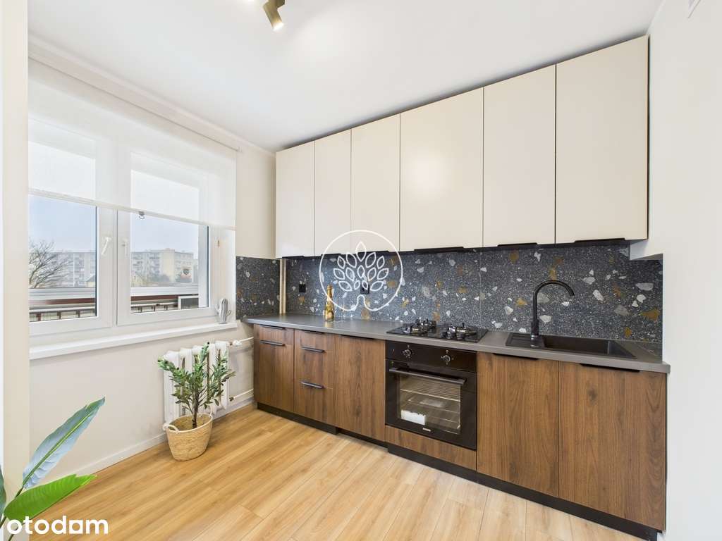 Wojska Polskiego, 3pok, loggia,po remoncie, parte - Pełny obrazek: 3/19