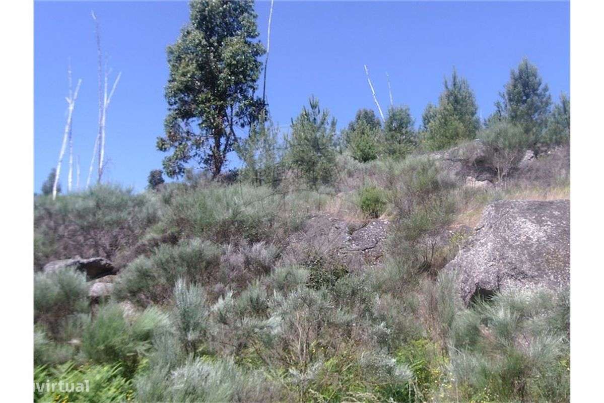 QUINTA C/ 20.500m² !! - Grande imagem: 4/18