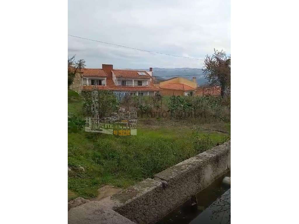 QUINTA DE CHARME COM CAPELA, CASA SENHORIAL NO CORAÇÃO DO DOURO - Grande imagem: 5/31