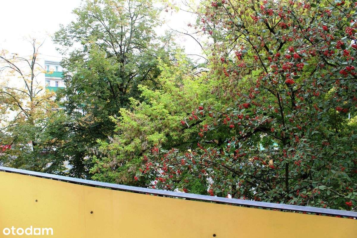 W. 3 pokojowe po remoncie - os. Jagiellońskie - Pełny obrazek: 5/20