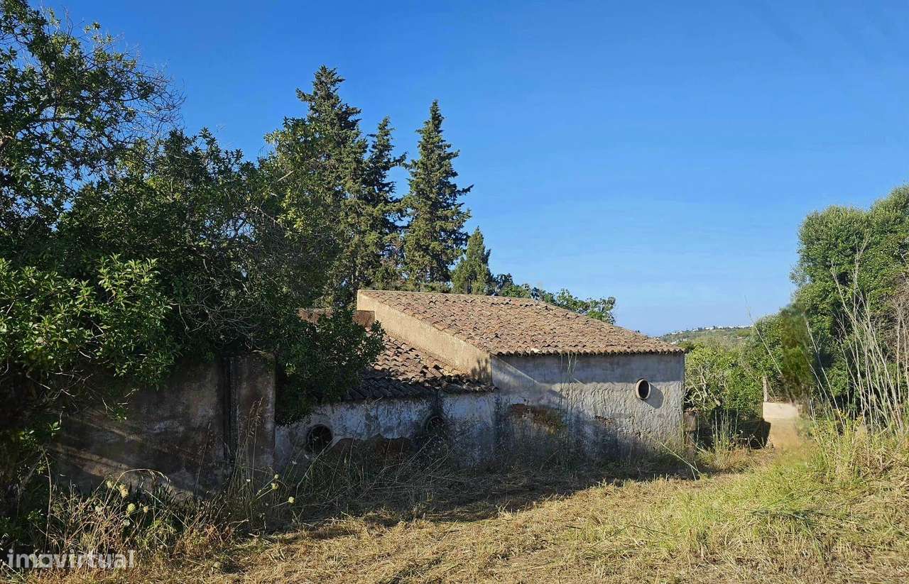 Quinta em Lagos, Praia da Luz,  46.000 m2, 2 casas e 2 Armazéns-16