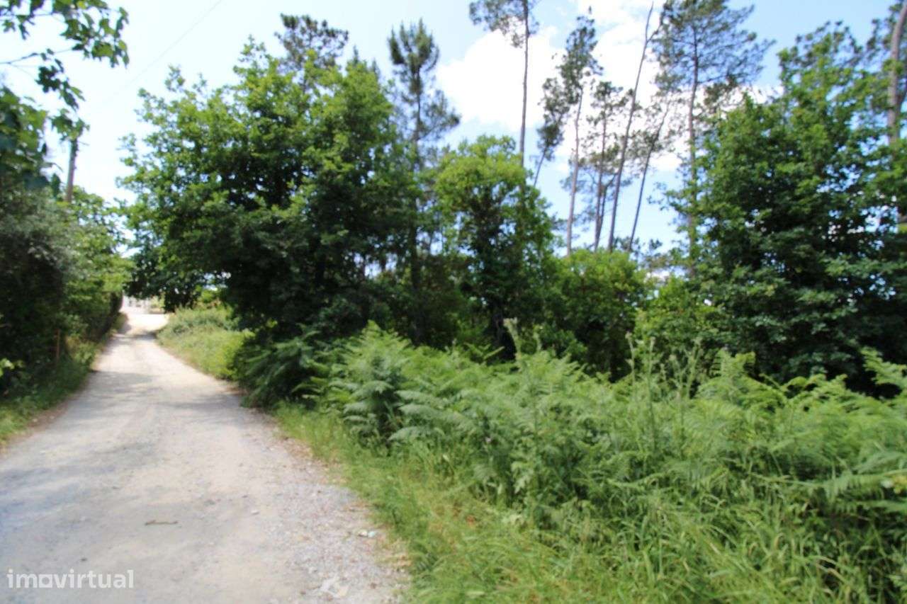 Terreno com Viabilidade de Construção - Orgens - Viseu - Grande imagem: 2/12