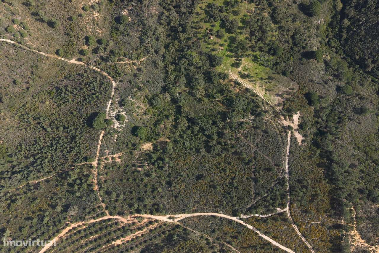 Herdade de 10 hectares em Melides - Grande imagem: 3/22