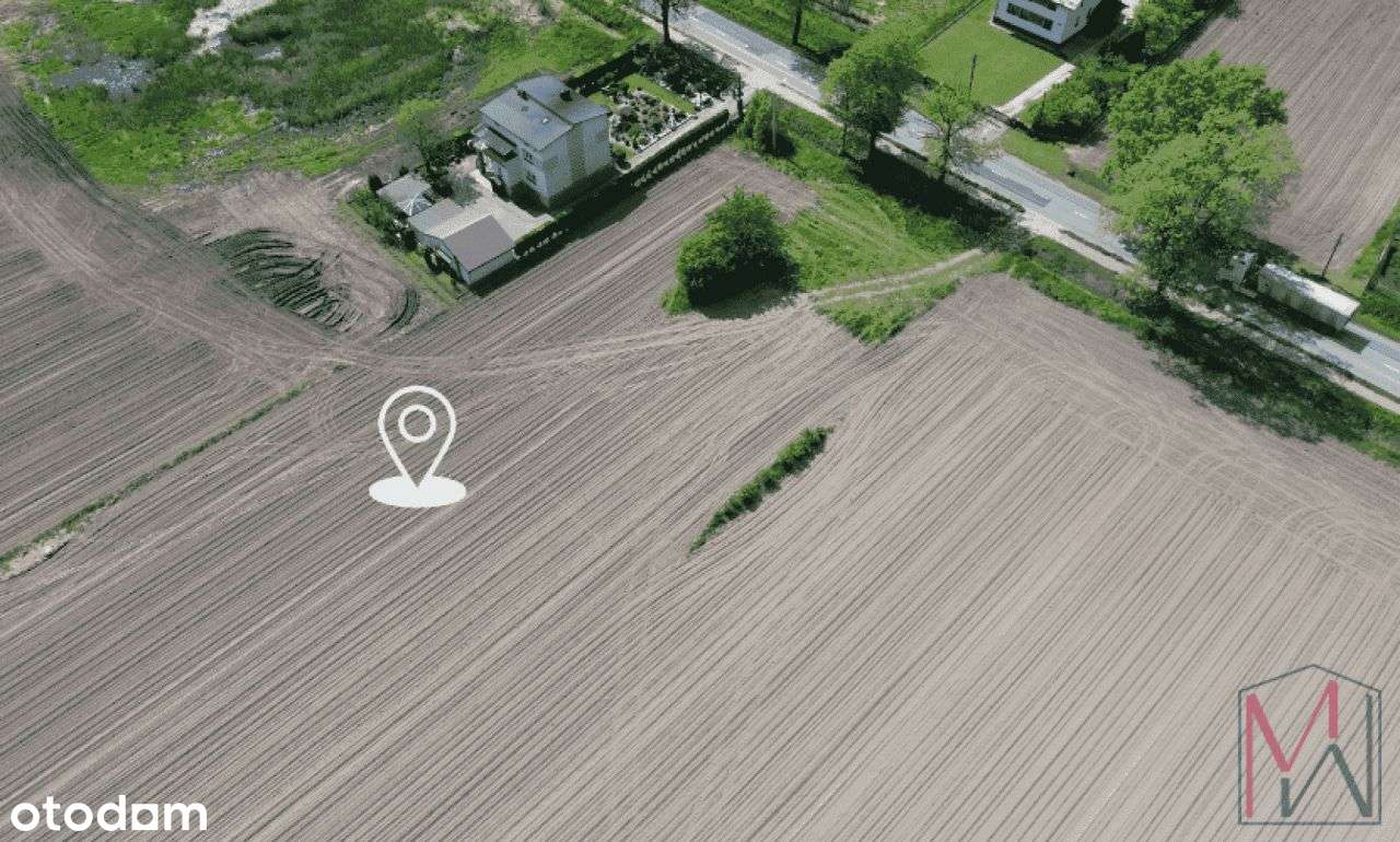 Działka usługowo- rolna Kopciowice gmina Chełm Śląski - Pełny obrazek: 4/15