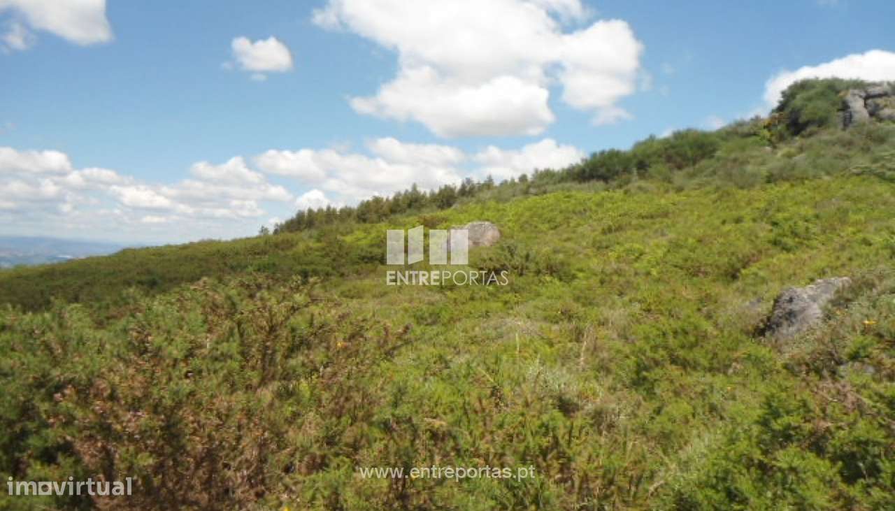 Venda Terreno, Sande, Marco de Canaveses - Grande imagem: 2/16