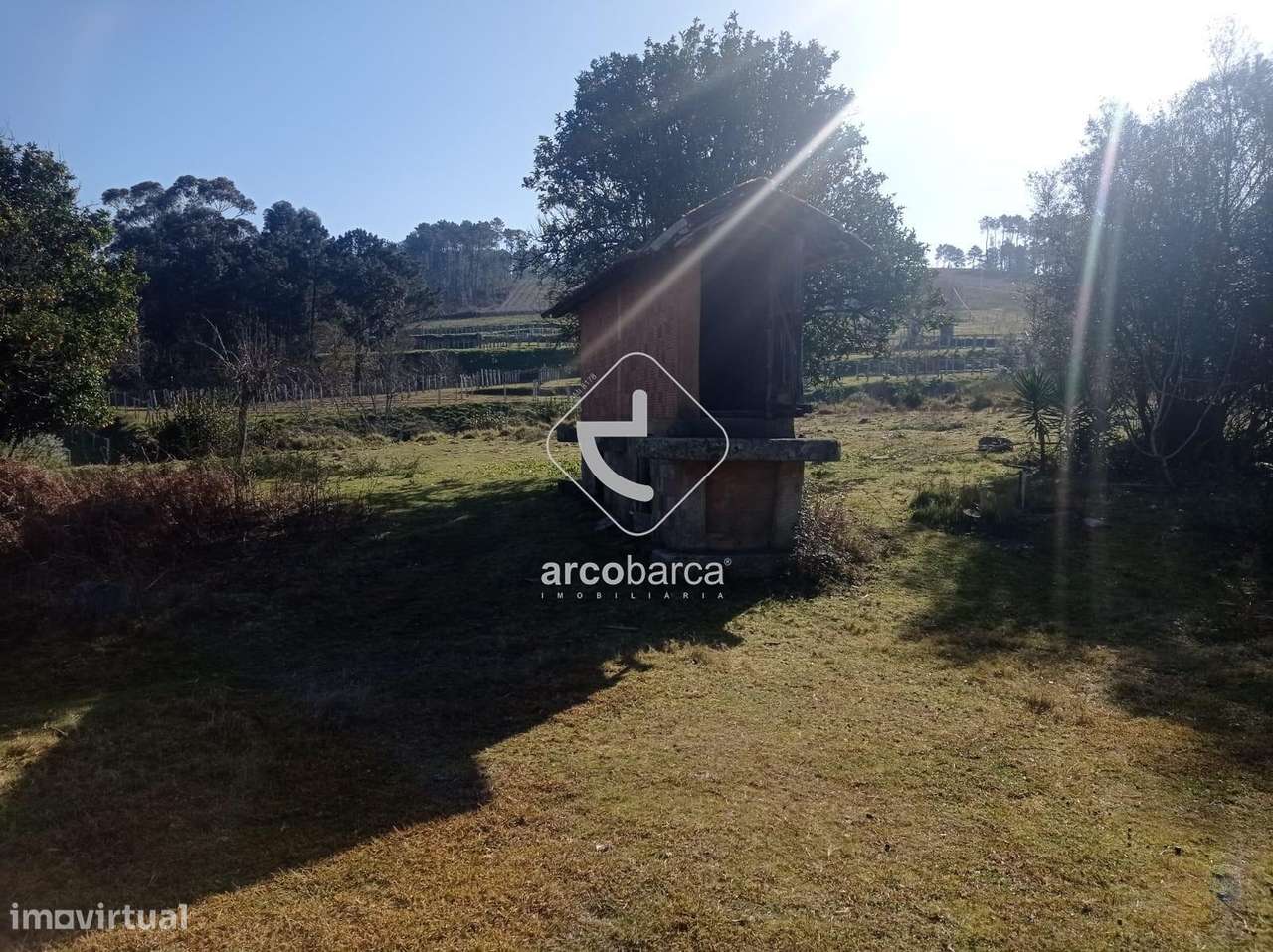 Quinta com Moradia T4 para recuperar, área total do terreno 13000m2 - Grande imagem: 5/14