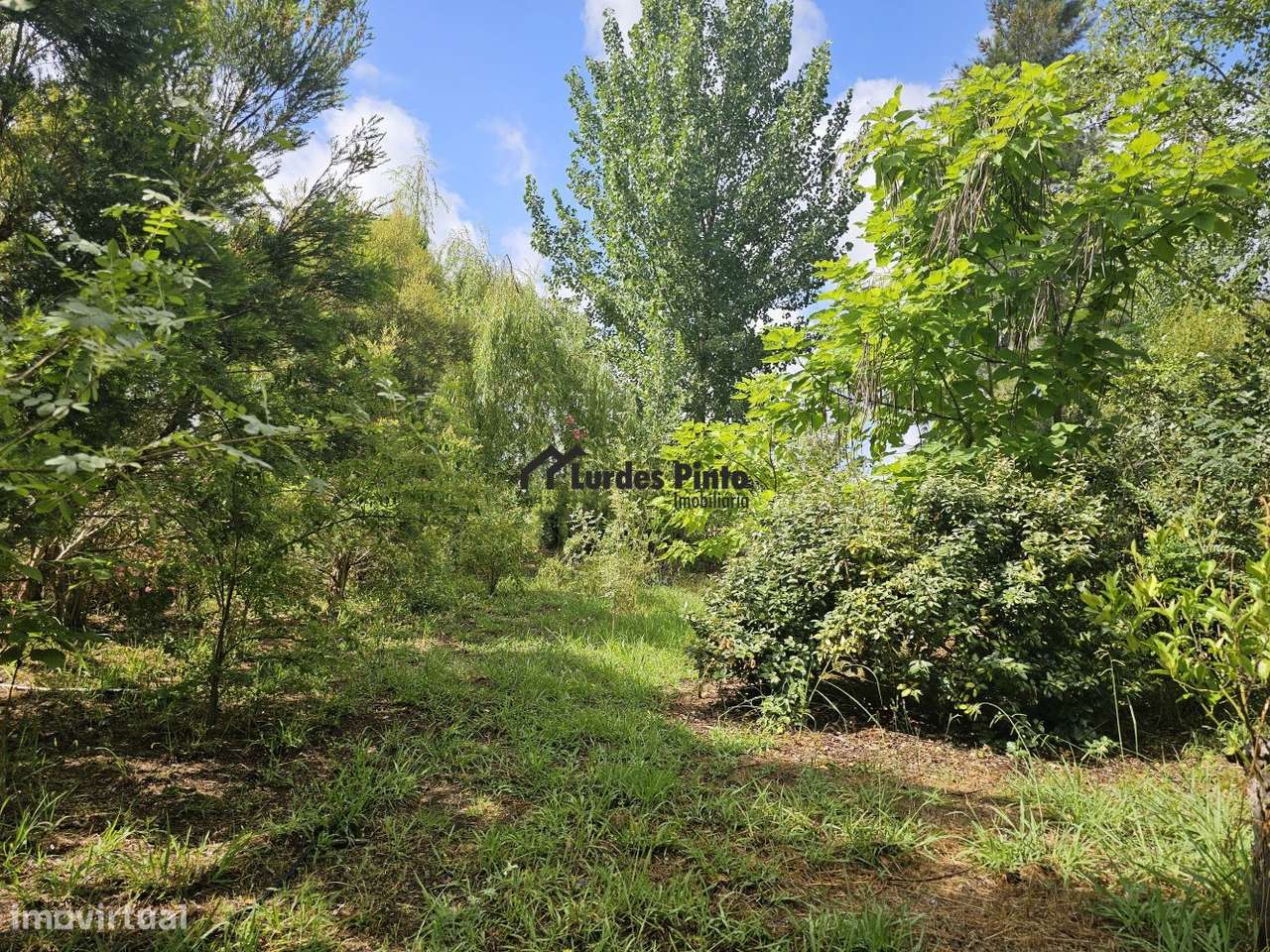 Quinta com habitação-3