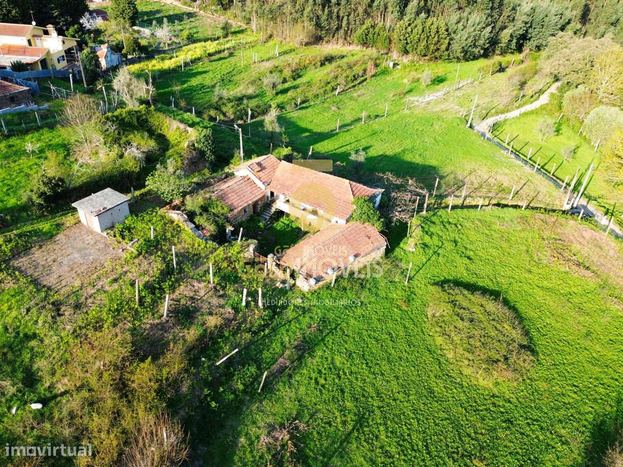 Quintinha T3 Venda em Santa Maria de Sardoura,Castelo de Paiva-27