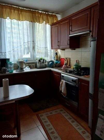 Mieszkanie, 3 pokoje, Wrocław-Popowice - Pełny obrazek: 3/7