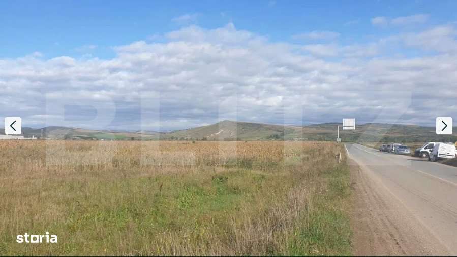**Oportunitate unica de investitie!** La iesirea de pe Autostrada A1 - Imagine principală: 4/4