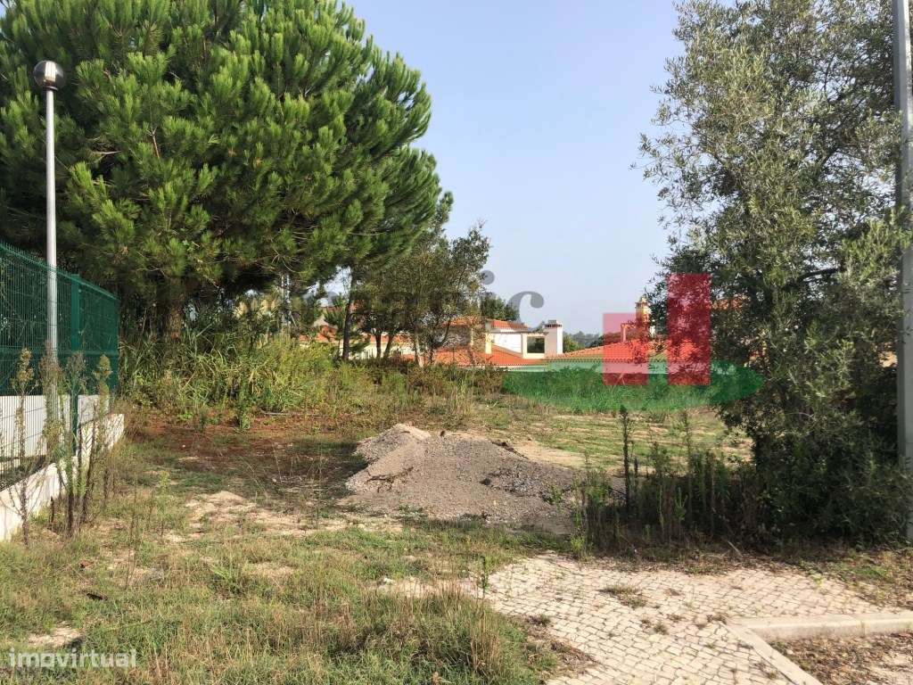 Lote para Construção de Moradia no Nadadouro - Caldas Rainha***RIOM... - Grande imagem: 4/6