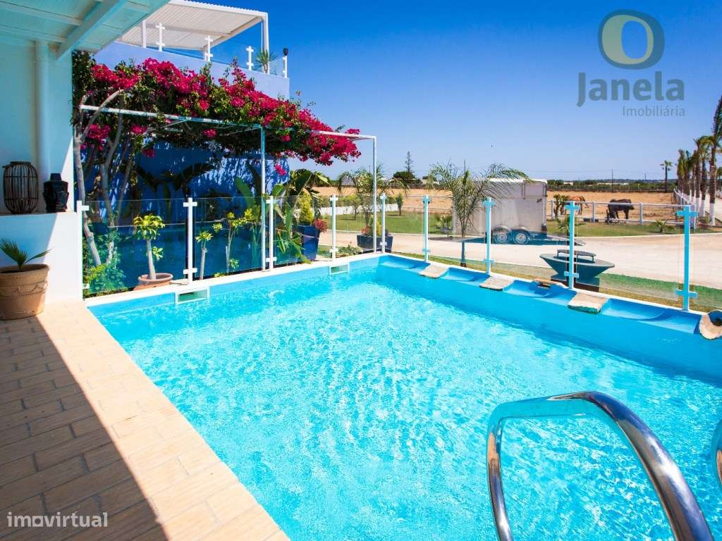 Herdade com 4,8 hectares, picadeiros, paddock CAVALOS e moradia ide... - Grande imagem: 3/33