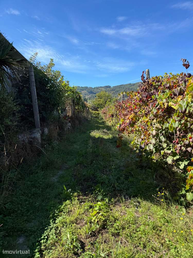 Moradia T5 em Beiral do Lima com terreno-15