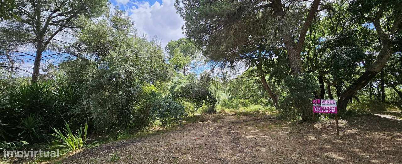 Terreno para Construção - T2959/23 - Grande imagem: 2/3