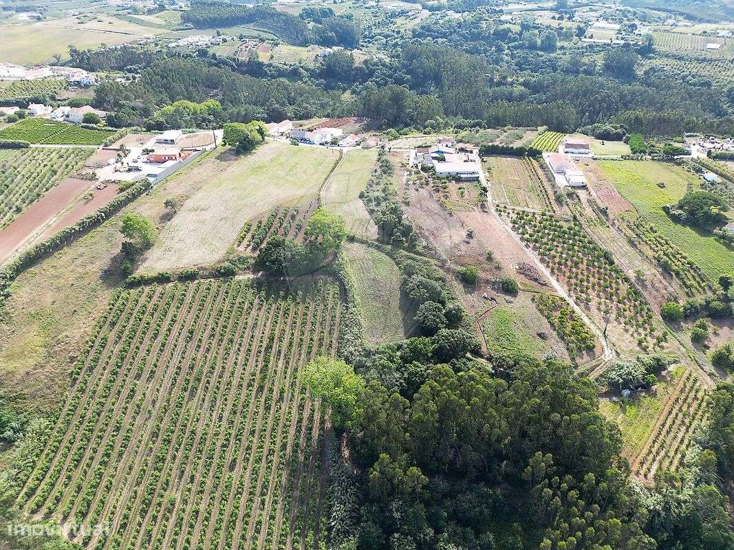 Terreno  para venda - Grande imagem: 5/6