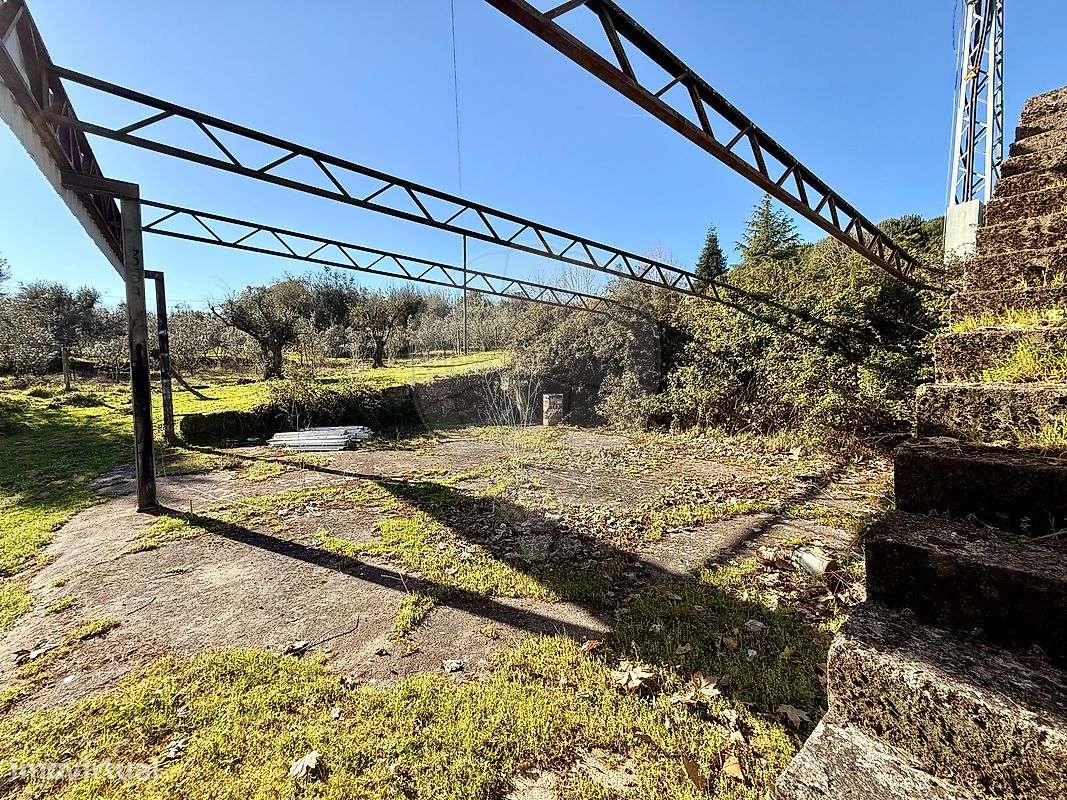 Armazém  para venda - Grande imagem: 4/19