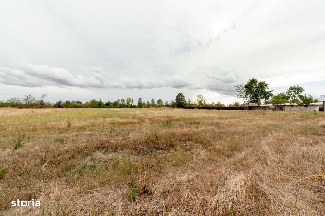 Teren Oarja - Arges – amplasament excelent - Imagine principală: 4/7