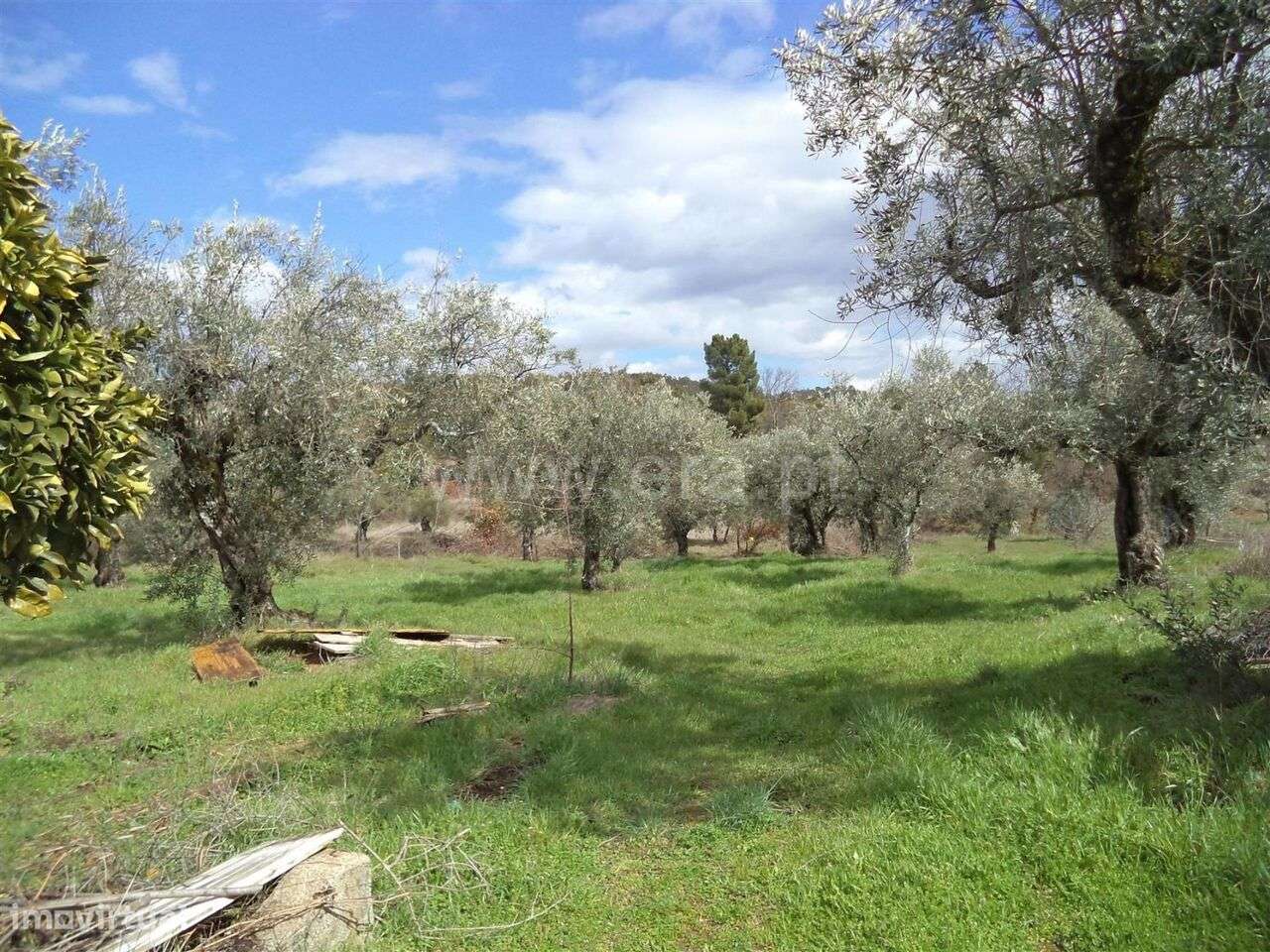Terreno Rústico / Fundão, Vales Pêro Viseu - Grande imagem: 4/6