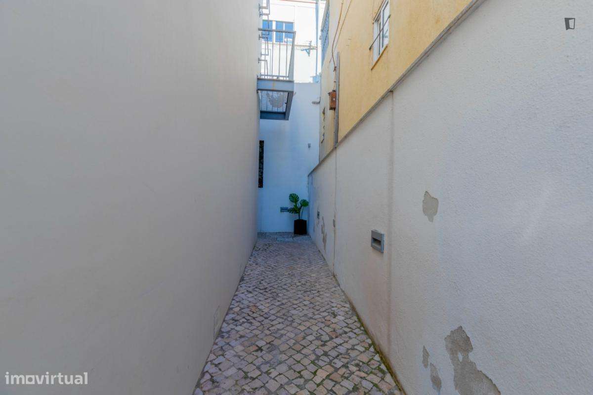 Estúdio - localizado em Campolide Lisbon - Grande imagem: 5/10