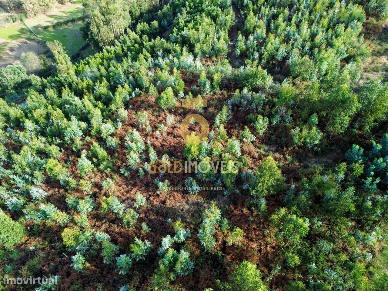 Terreno Rústico  Venda em São Roque,Oliveira de Azeméis - Grande imagem: 4/6