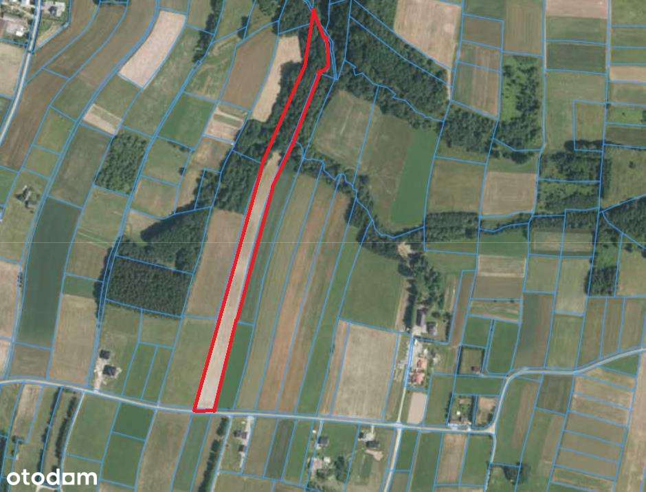 Ponad 1,5 ha działka w Ołpinach gm. Szerzyny-4