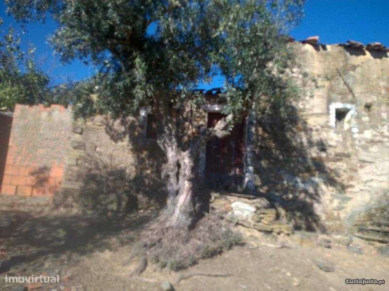 Casa rustica em xisto com terreno e olival - Grande imagem: 5/9