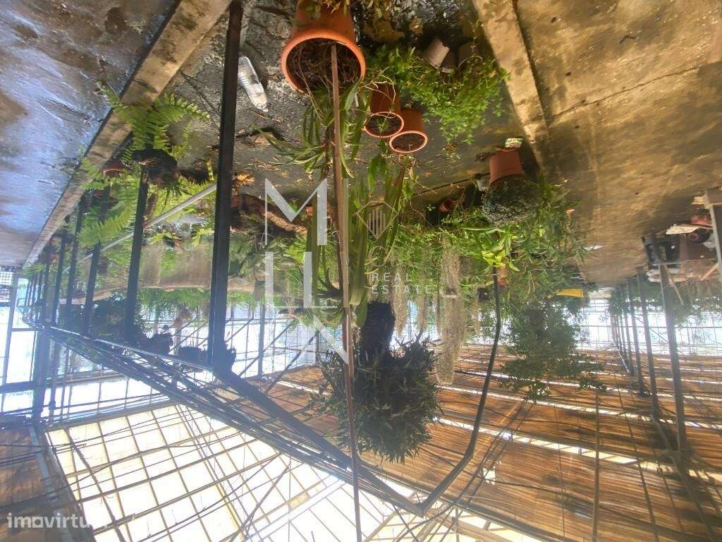 Terreno Lameiras - Grande imagem: 4/51