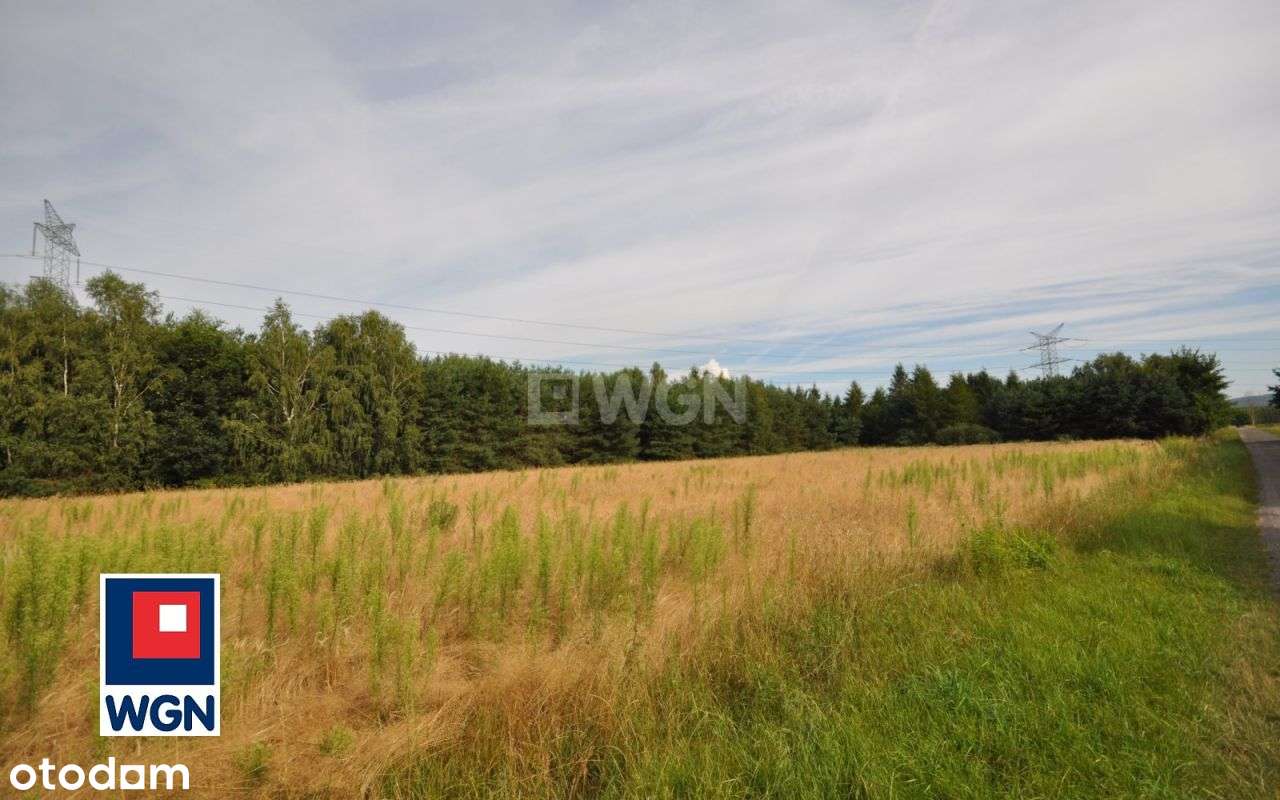 Działka, 3 032 m², Dobryszyce-9