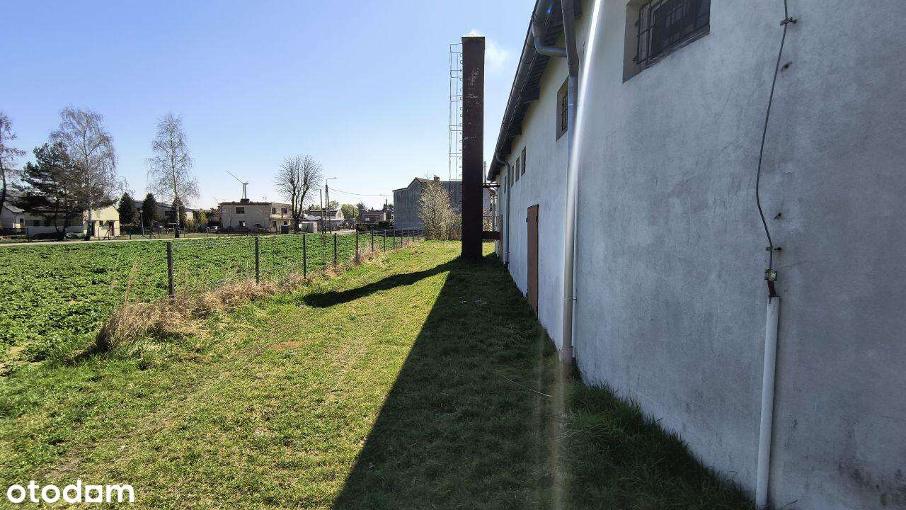 Pawilon handlowo-usługowy - Pełny obrazek: 4/4