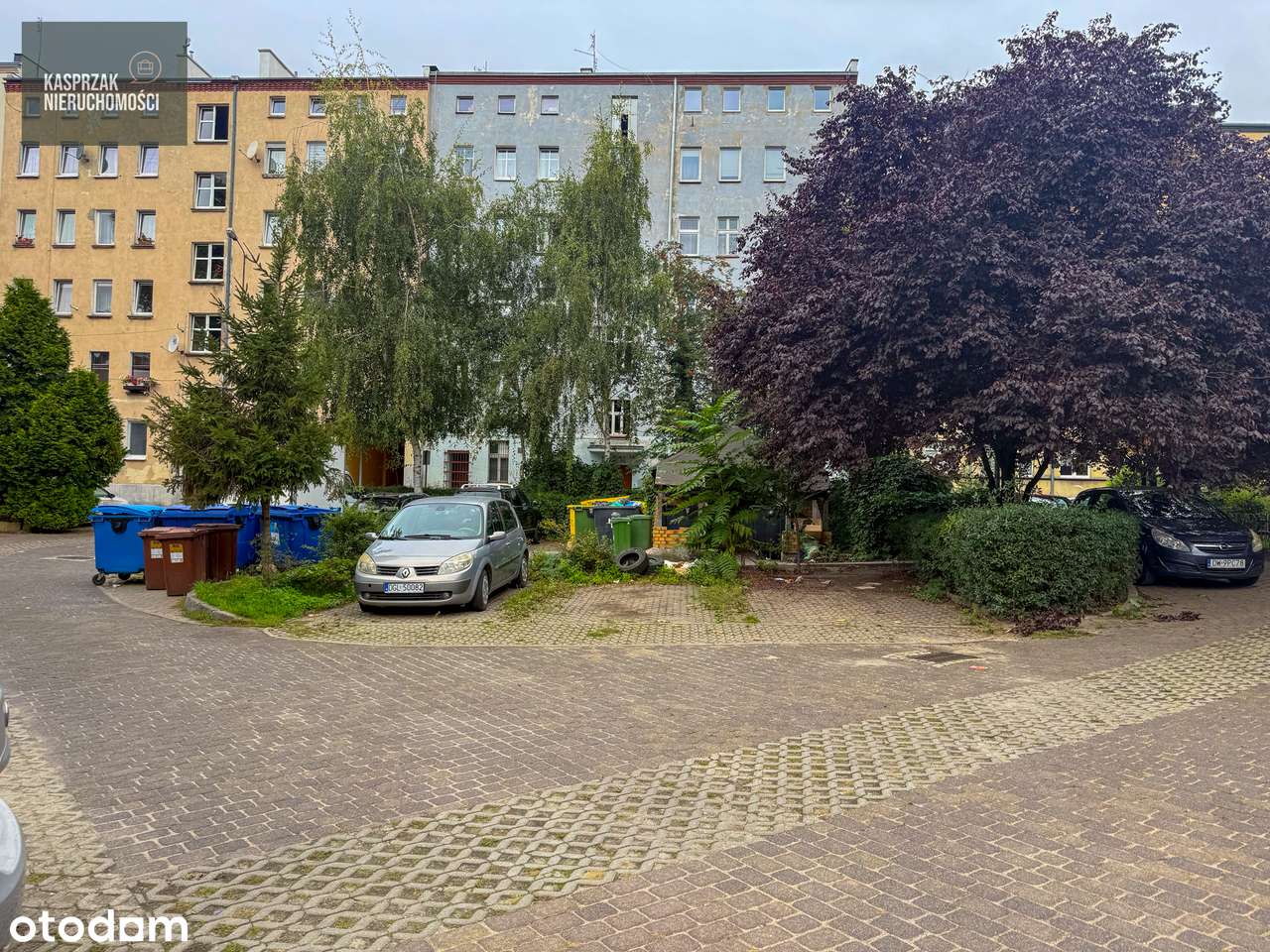 Piękna kamienica - trzy pokoje z balkonem - 5 min spacerem do Odry-13