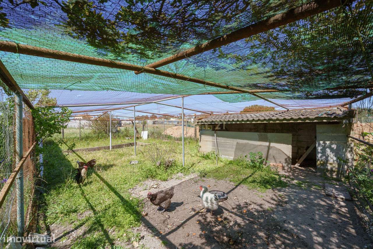 O Refúgio Perfeito em Cajados: Natureza e Duas Moradias num Só Investi-22