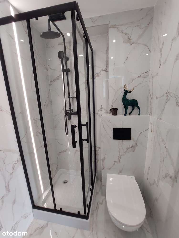 Mieszkanie 30m² po generalnym remoncie AGD 10min od Bielska i Pszczyny - Pełny obrazek: 2/11