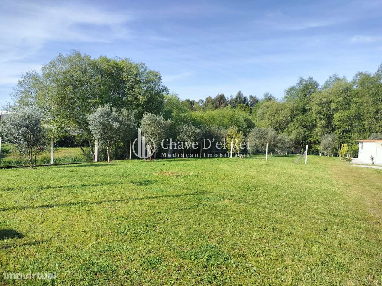 Terreno  Arrendamento em Campo,Viseu - Grande imagem: 5/14